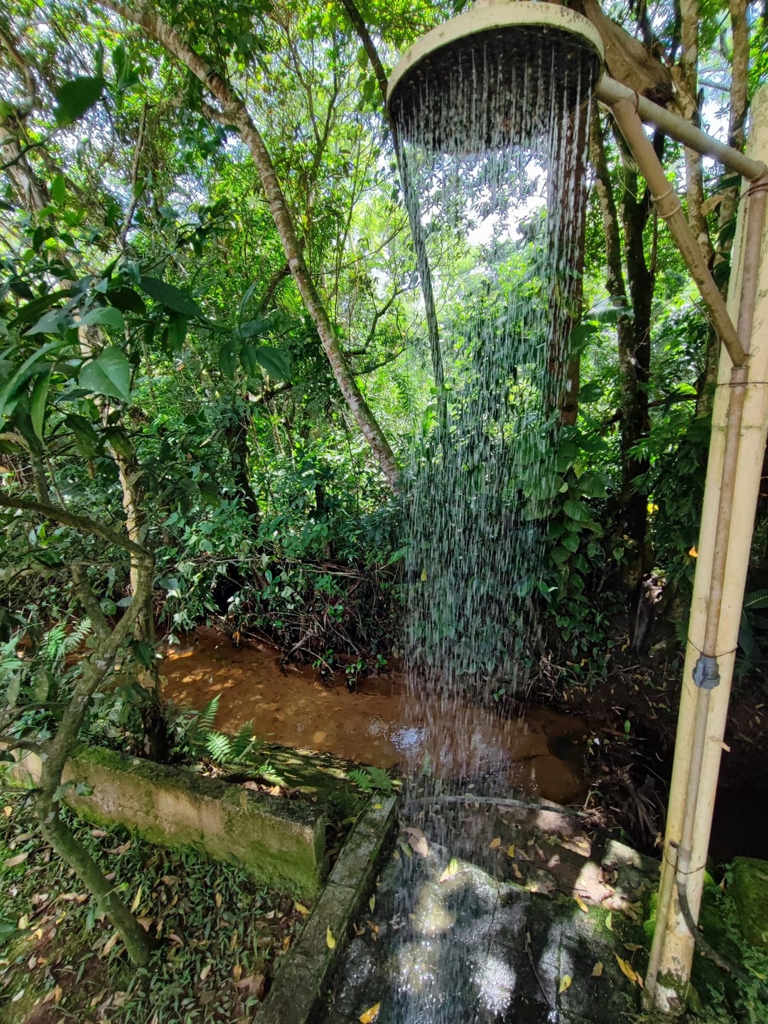 Chácara, 2 quartos, 1200 m² - Foto 8