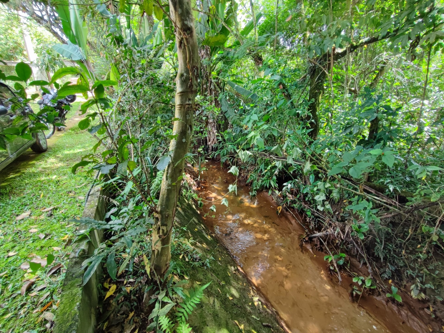 Chácara, 2 quartos, 1200 m² - Foto 9