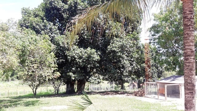 Chácara, 3 quartos, 5645 m² - Foto 7