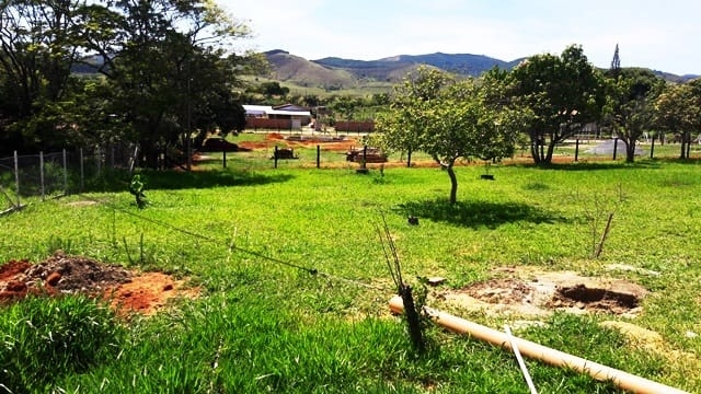 Chácara, 3 quartos, 5645 m² - Foto 10