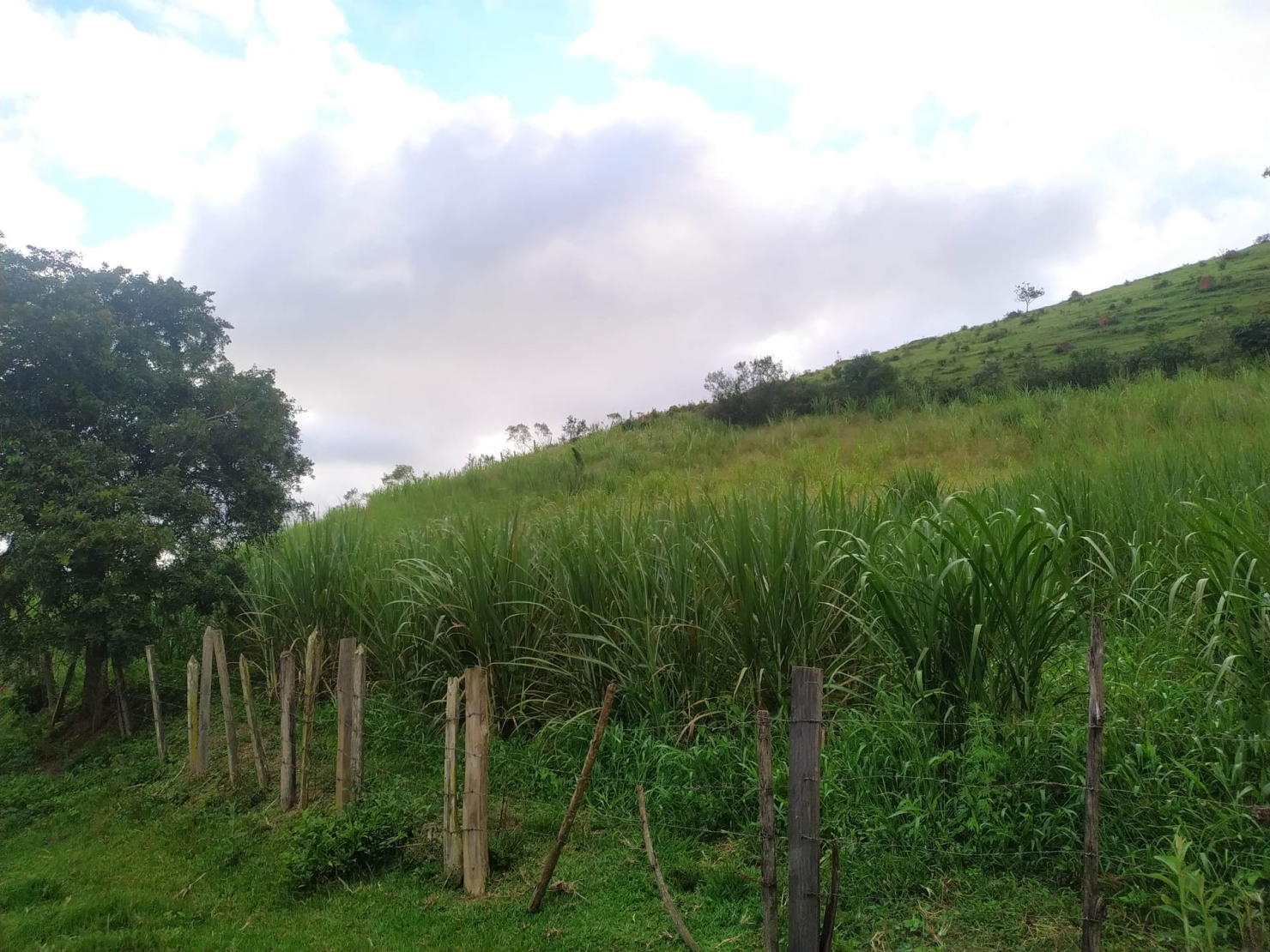 Sítio, 3 quartos, 10 hectares - Foto 1