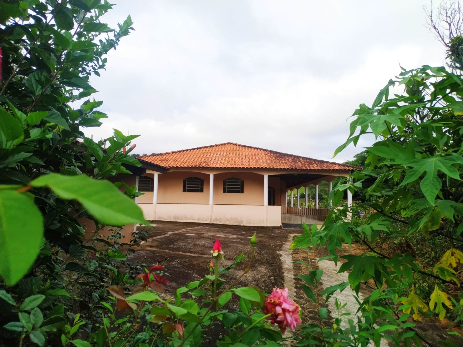 Sítio, 3 quartos, 10 hectares - Foto 2