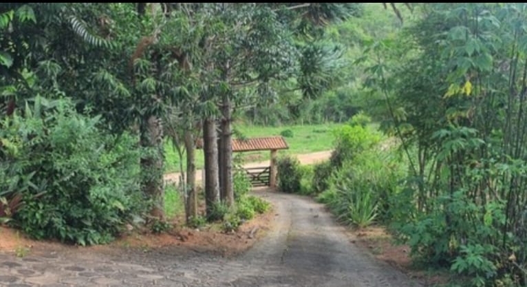 Sítio, 3 quartos, 10 hectares - Foto 4