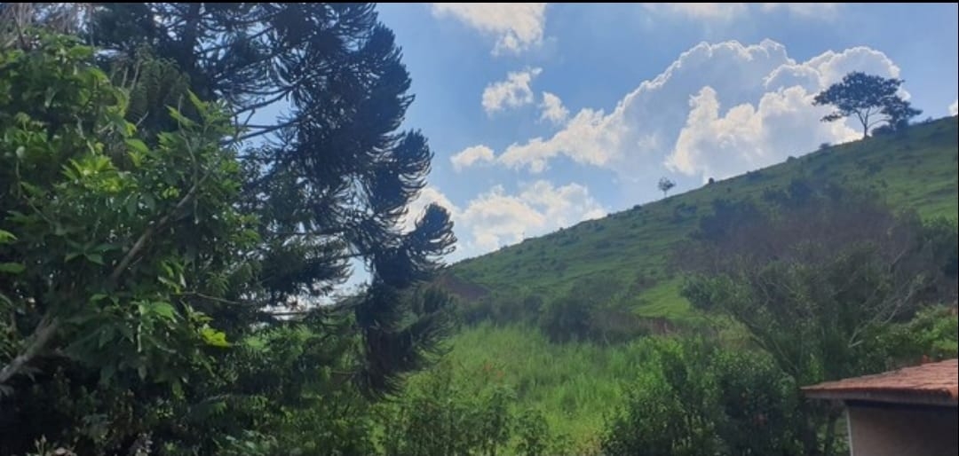 Sítio, 3 quartos, 10 hectares - Foto 6