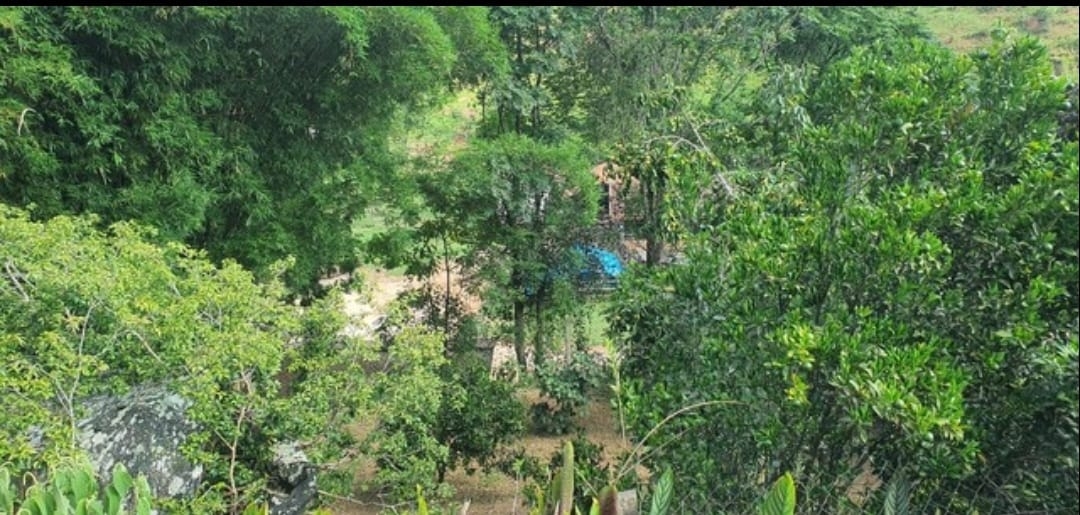 Sítio, 3 quartos, 10 hectares - Foto 8