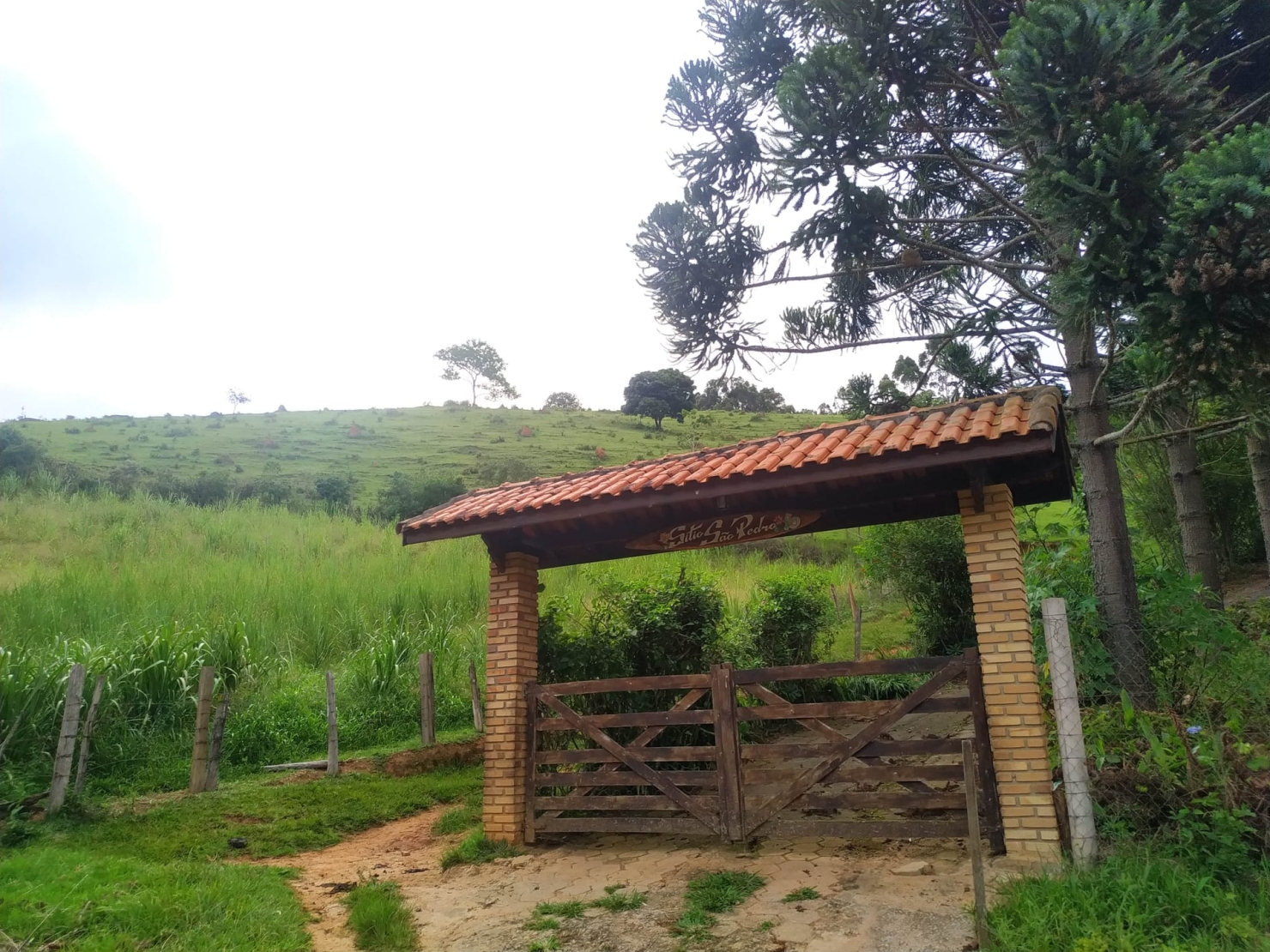 Sítio, 3 quartos, 10 hectares - Foto 15