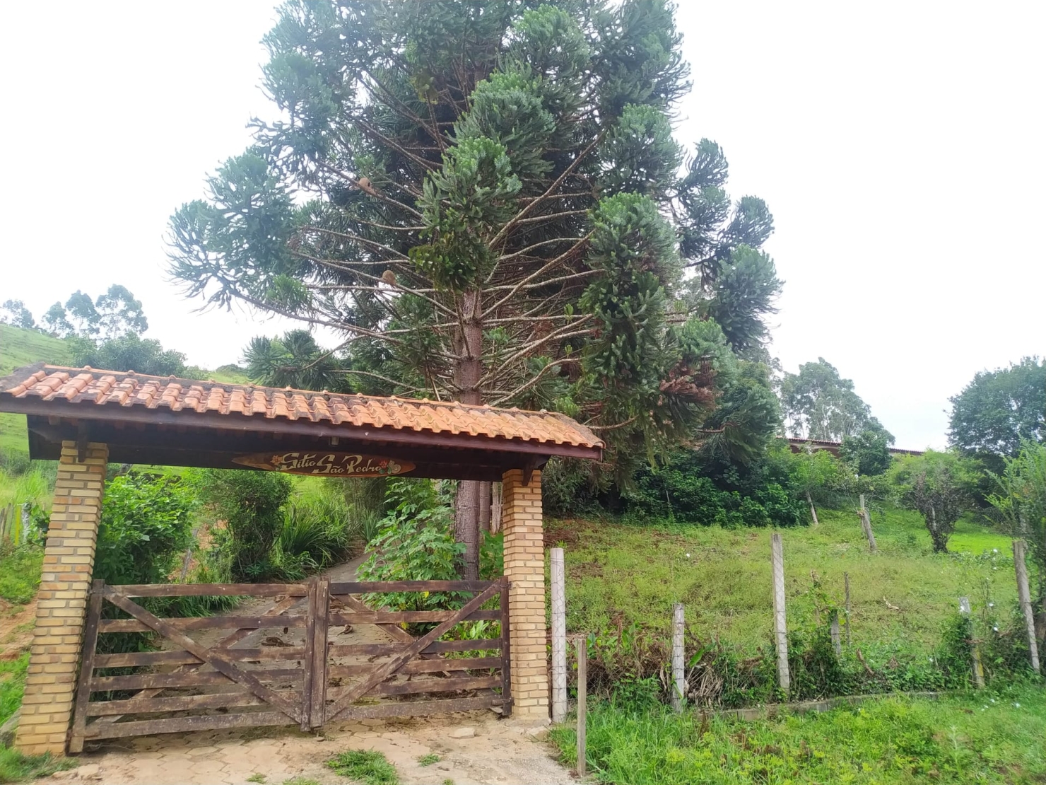 Sítio, 3 quartos, 10 hectares - Foto 16