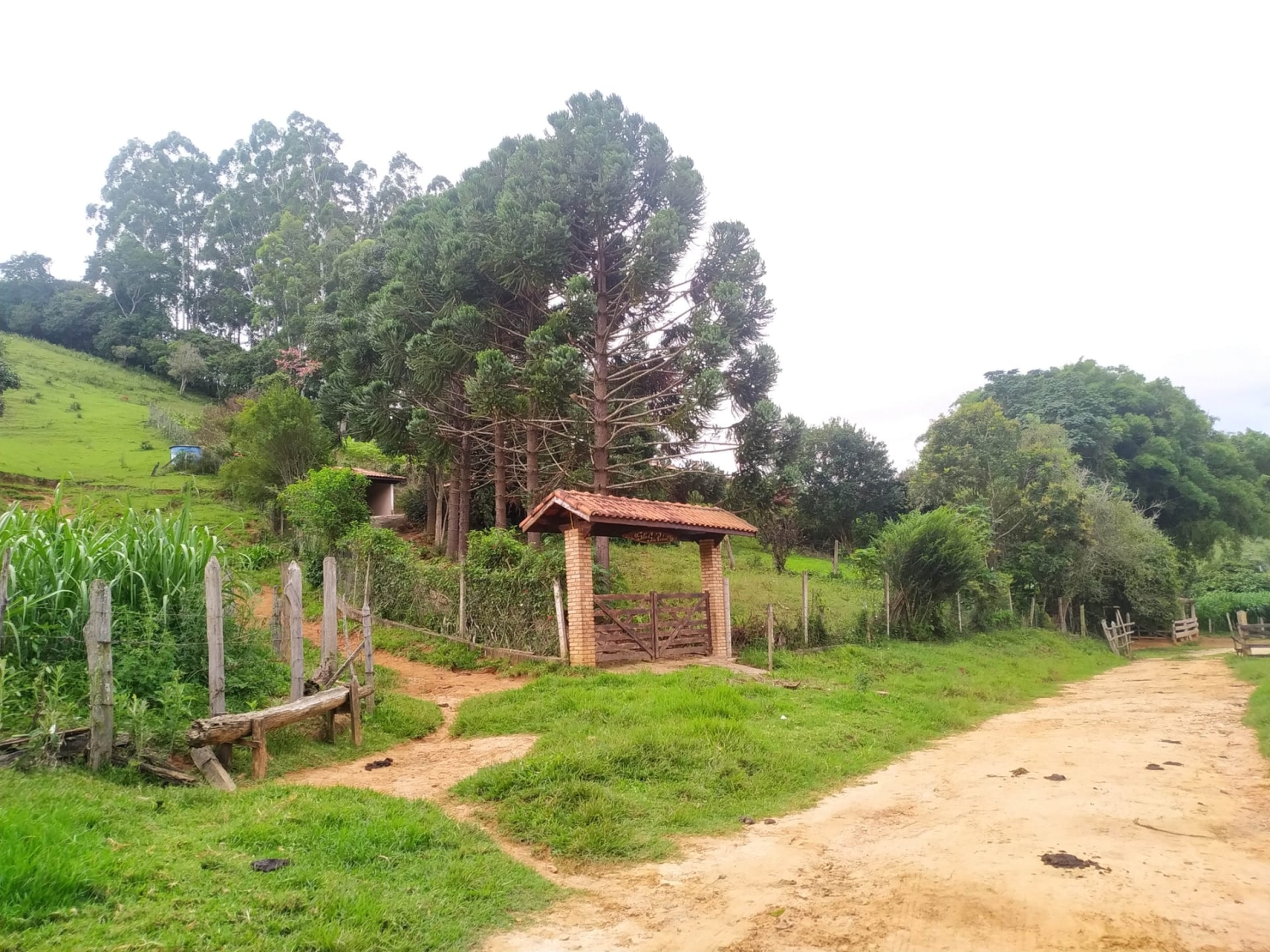 Sítio, 3 quartos, 10 hectares - Foto 17