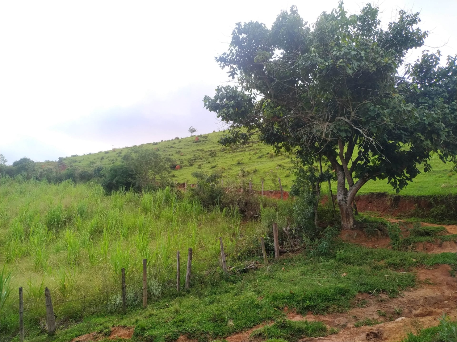 Sítio, 3 quartos, 10 hectares - Foto 18