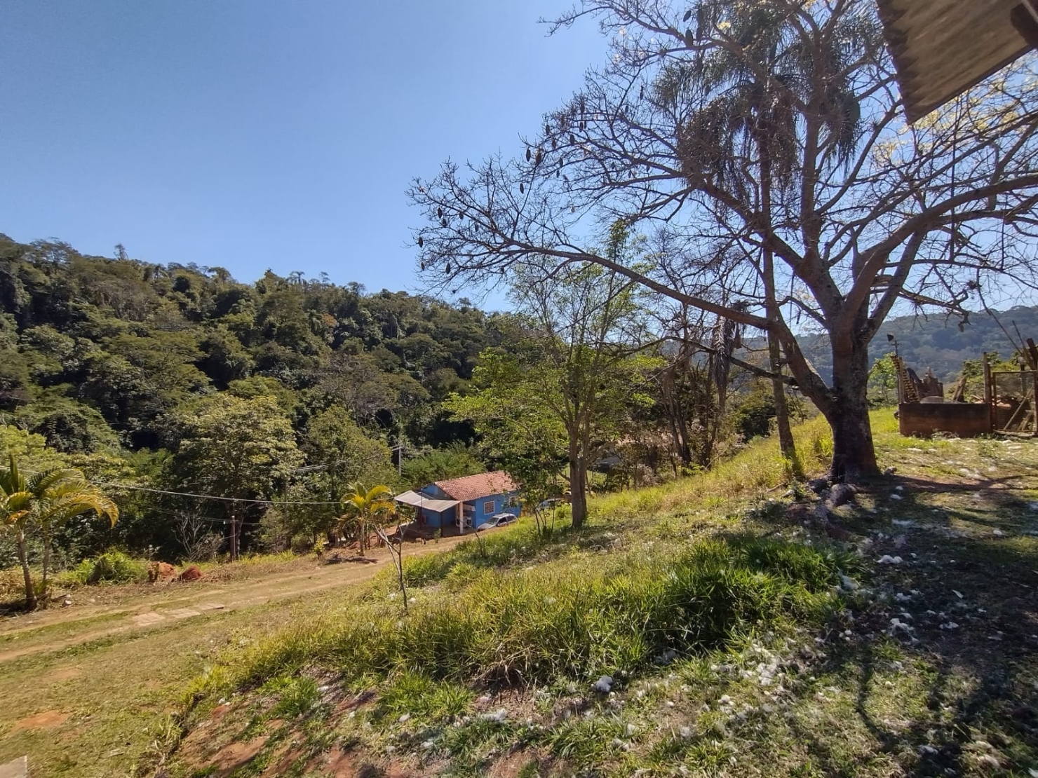 Sítio, 3 quartos, 3 hectares - Foto 5