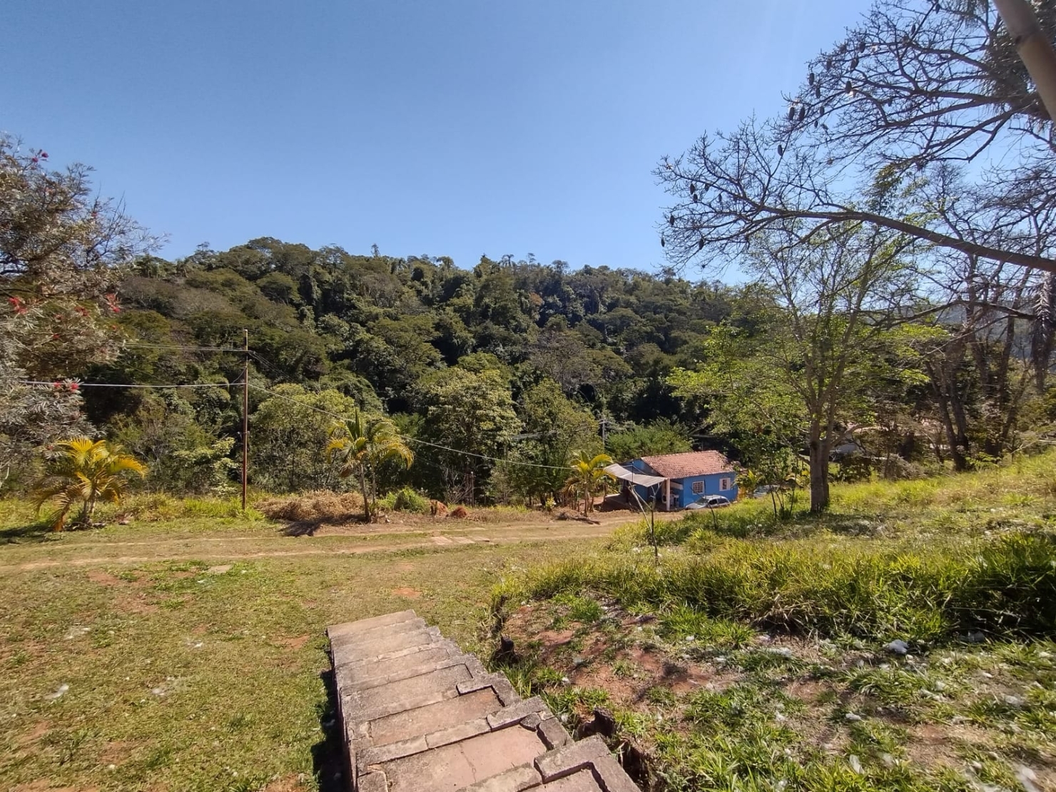 Sítio, 3 quartos, 3 hectares - Foto 23