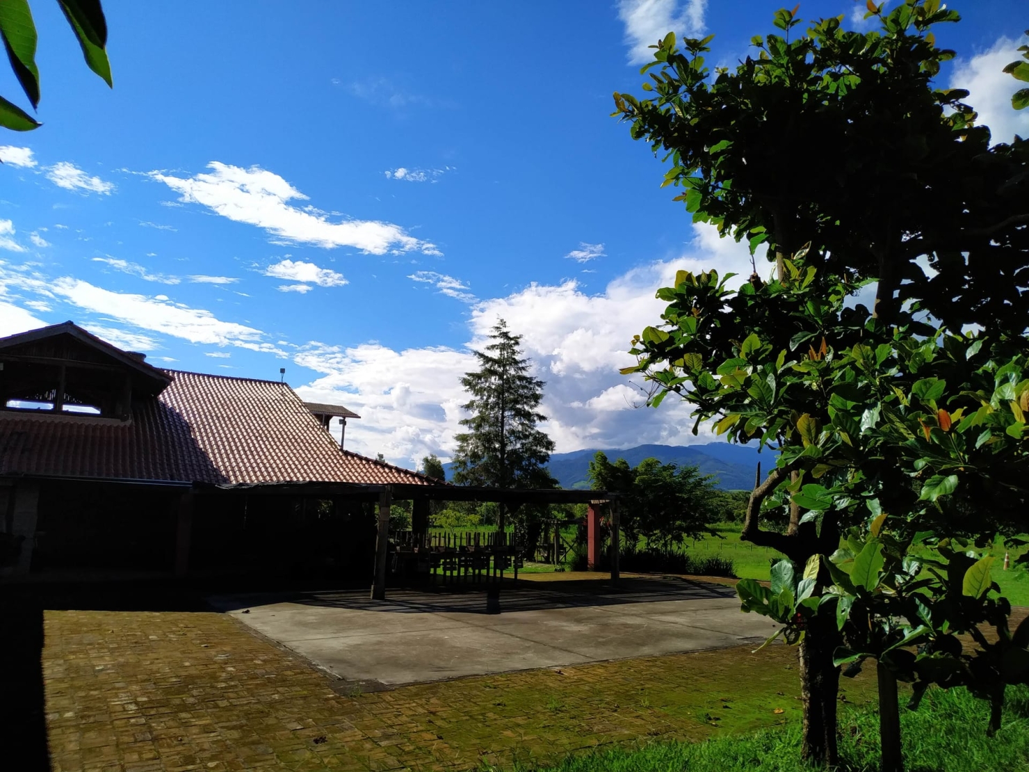 Terreno, 2 hectares - Foto 7