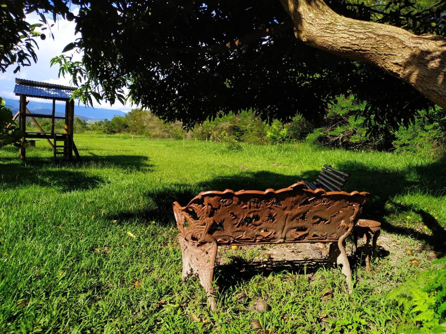 Terreno, 2 hectares - Foto 17
