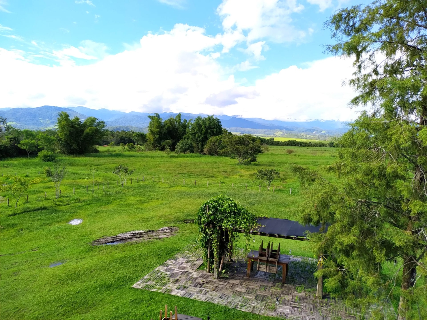 Terreno, 2 hectares - Foto 20