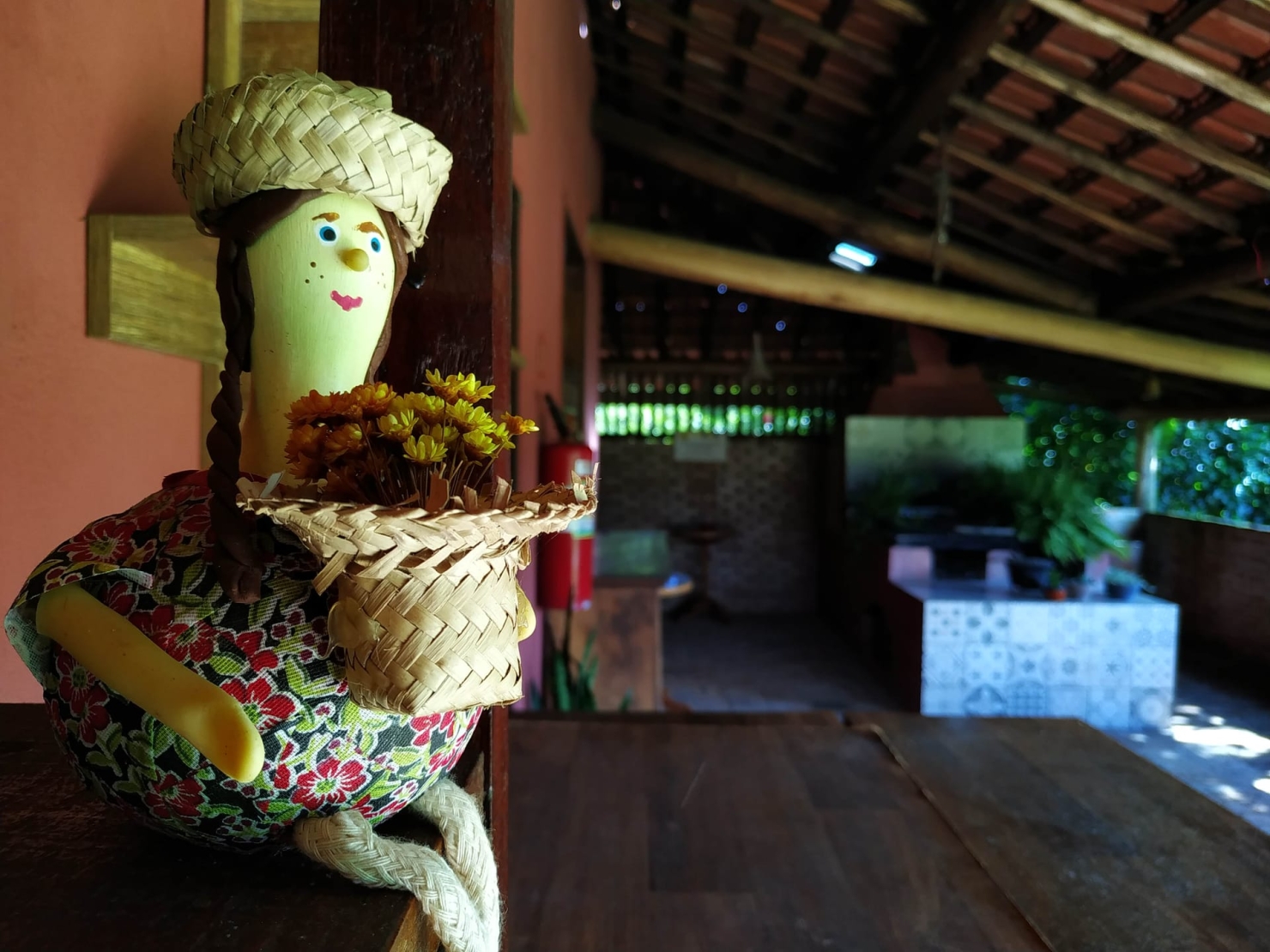 Terreno, 2 hectares - Foto 46