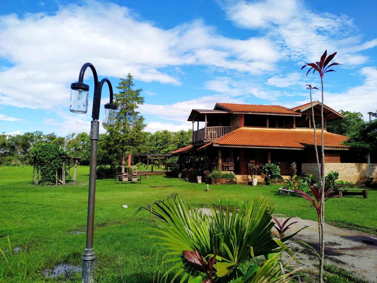 Terreno, 2 hectares - Foto 49