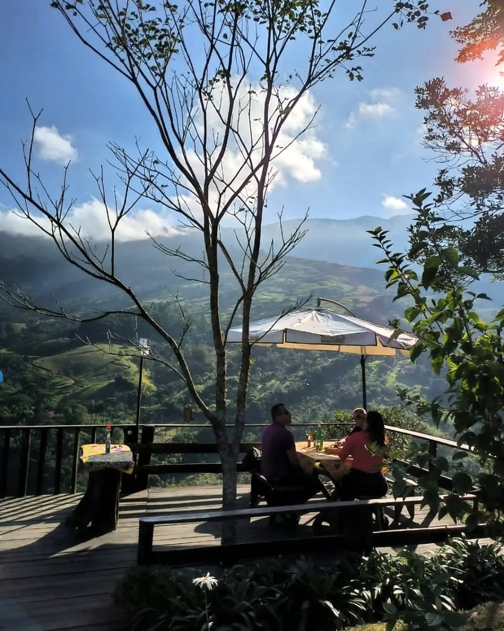 Chácara, 9 quartos, 2 hectares - Foto 1