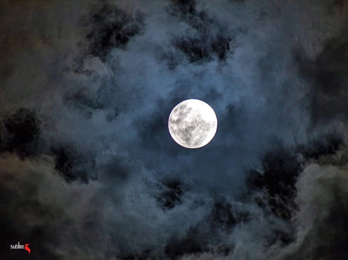 Chácara, 9 quartos, 2 hectares - Foto 5