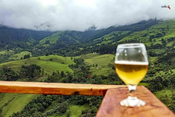 Chácara, 9 quartos, 2 hectares - Foto 11