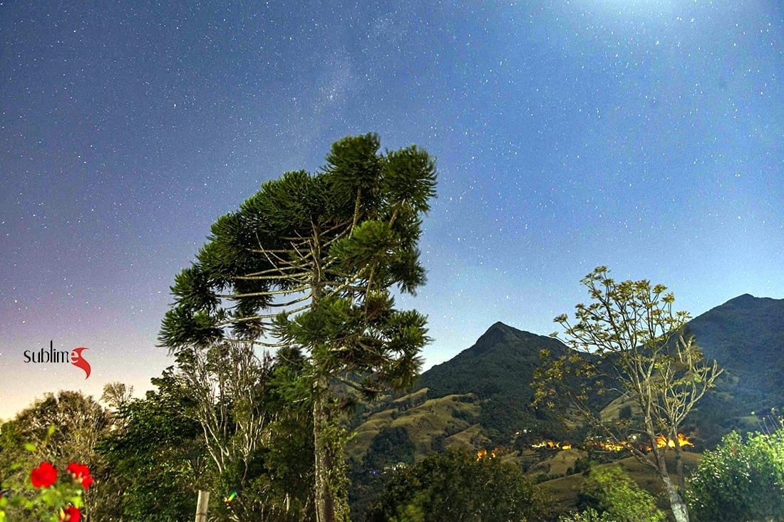 Chácara, 9 quartos, 2 hectares - Foto 16