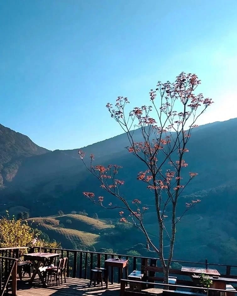 Chácara, 9 quartos, 2 hectares - Foto 17