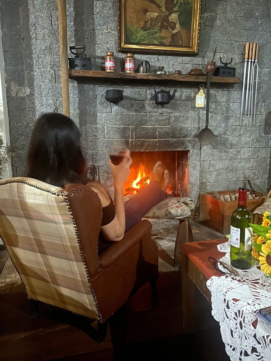 Chácara, 9 quartos, 2 hectares - Foto 18