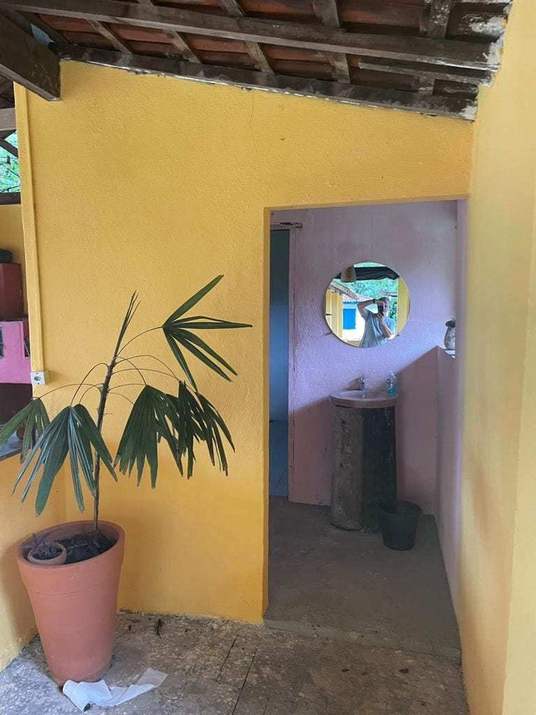 Chácara, 4 quartos, 2 hectares - Foto 4