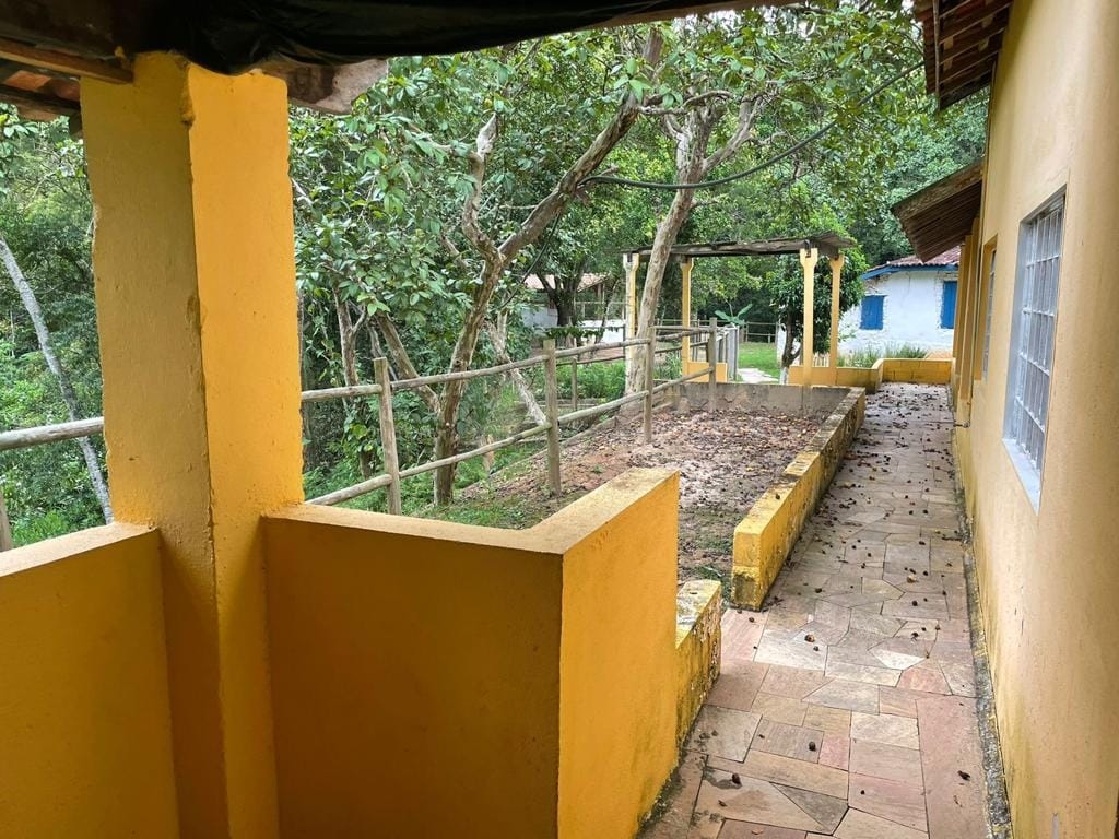 Chácara, 4 quartos, 2 hectares - Foto 9