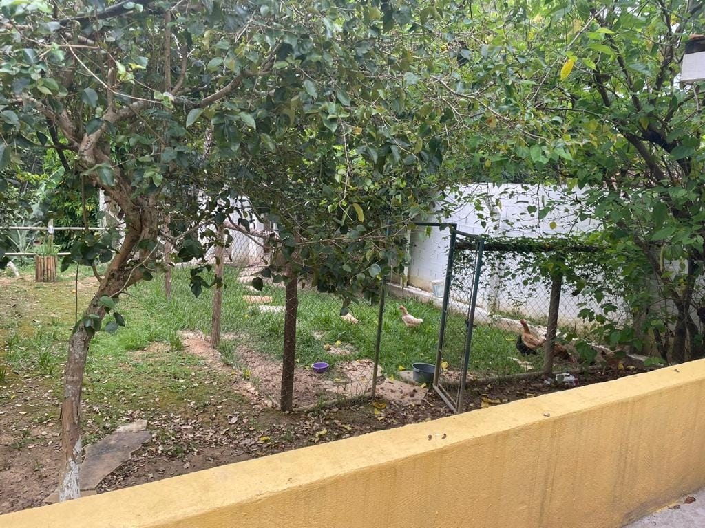 Chácara, 4 quartos, 2 hectares - Foto 11