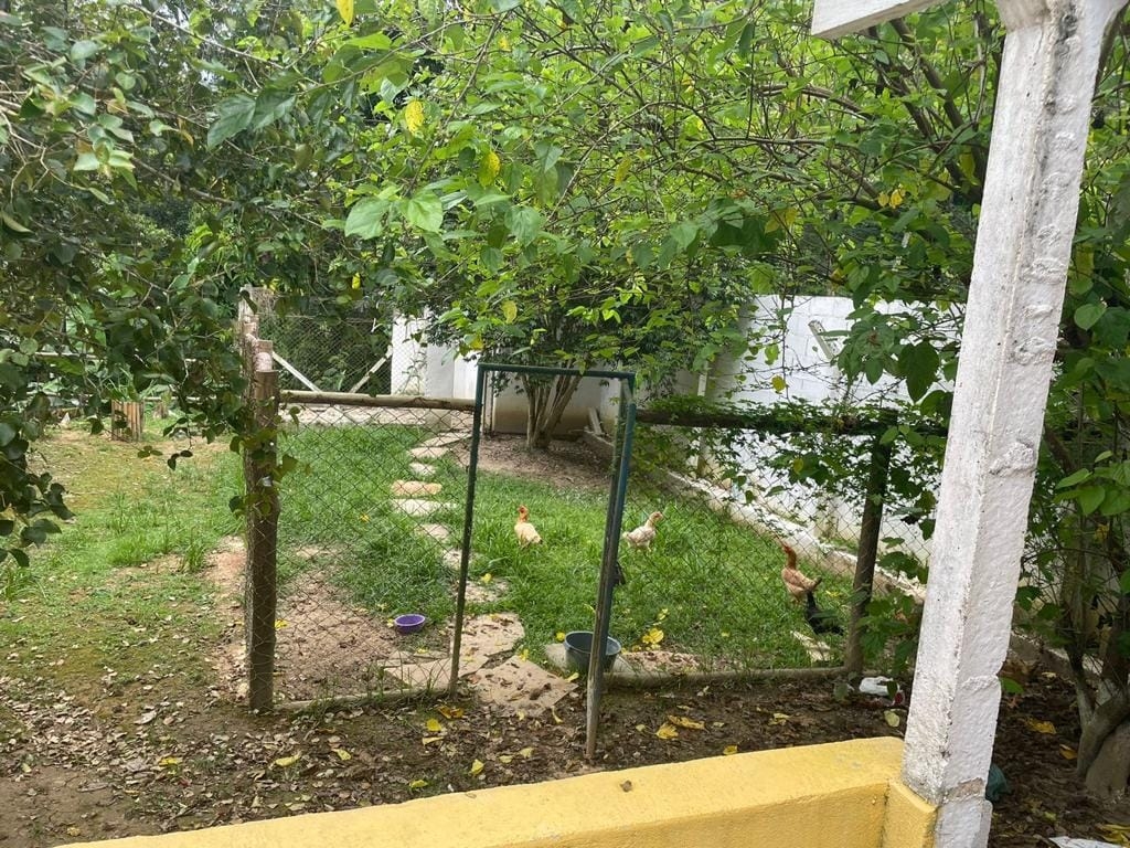 Chácara, 4 quartos, 2 hectares - Foto 19