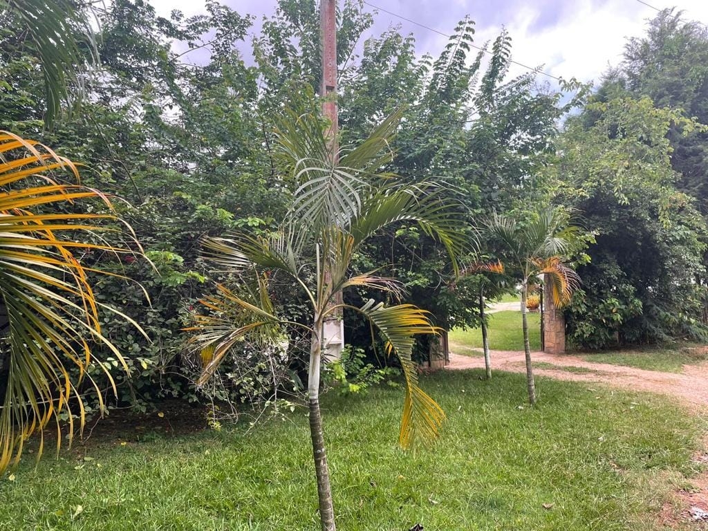 Chácara, 4 quartos, 2 hectares - Foto 20