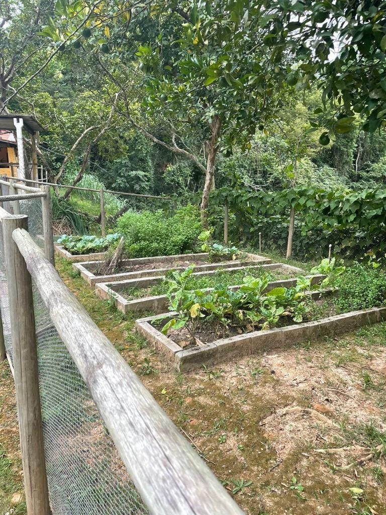 Chácara, 4 quartos, 2 hectares - Foto 21