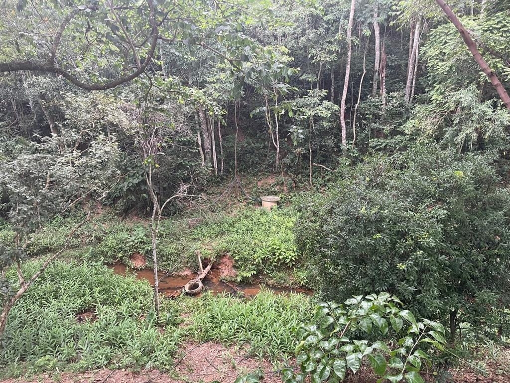 Chácara, 4 quartos, 2 hectares - Foto 22