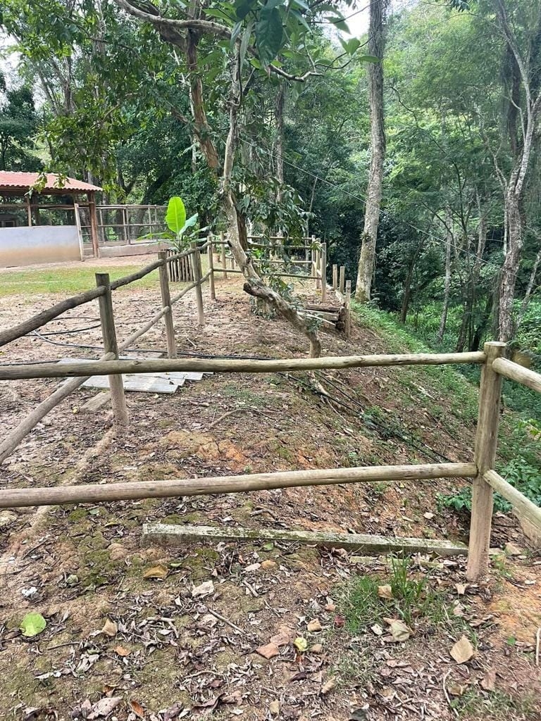 Chácara, 4 quartos, 2 hectares - Foto 24