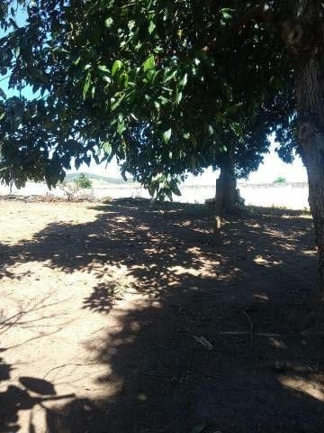 Terreno, 4000 m² - Foto 2