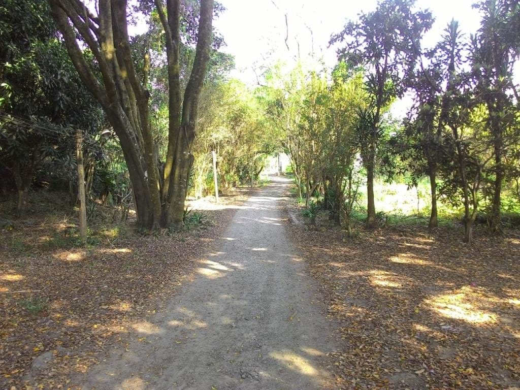 Terreno, 2 hectares - Foto 3