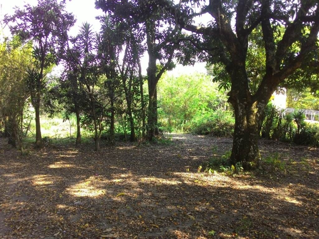 Terreno, 2 hectares - Foto 4