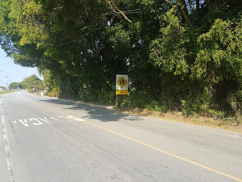 Terreno, 2 hectares - Foto 5