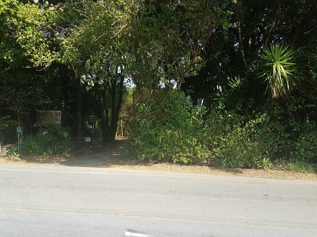 Terreno, 2 hectares - Foto 6