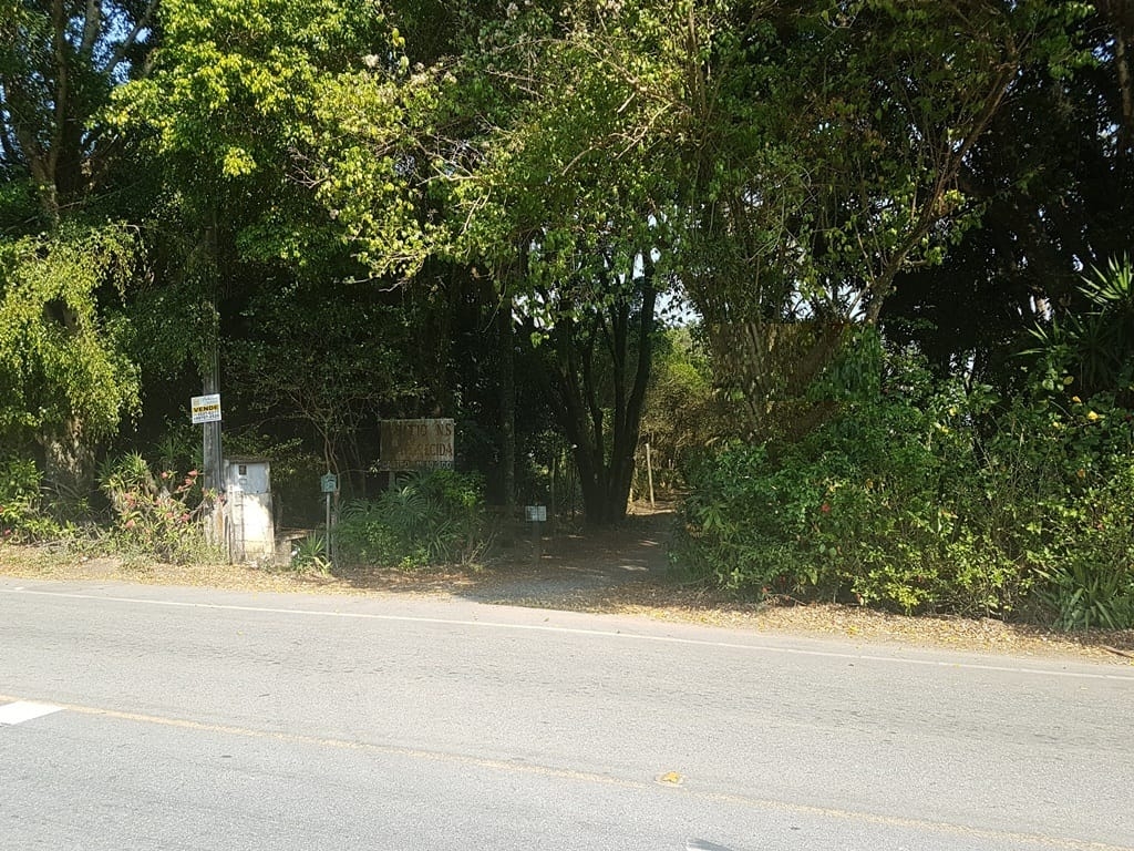 Terreno, 2 hectares - Foto 7