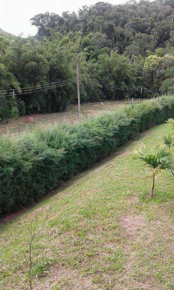 Sítio, 2 quartos, 2 hectares - Foto 5