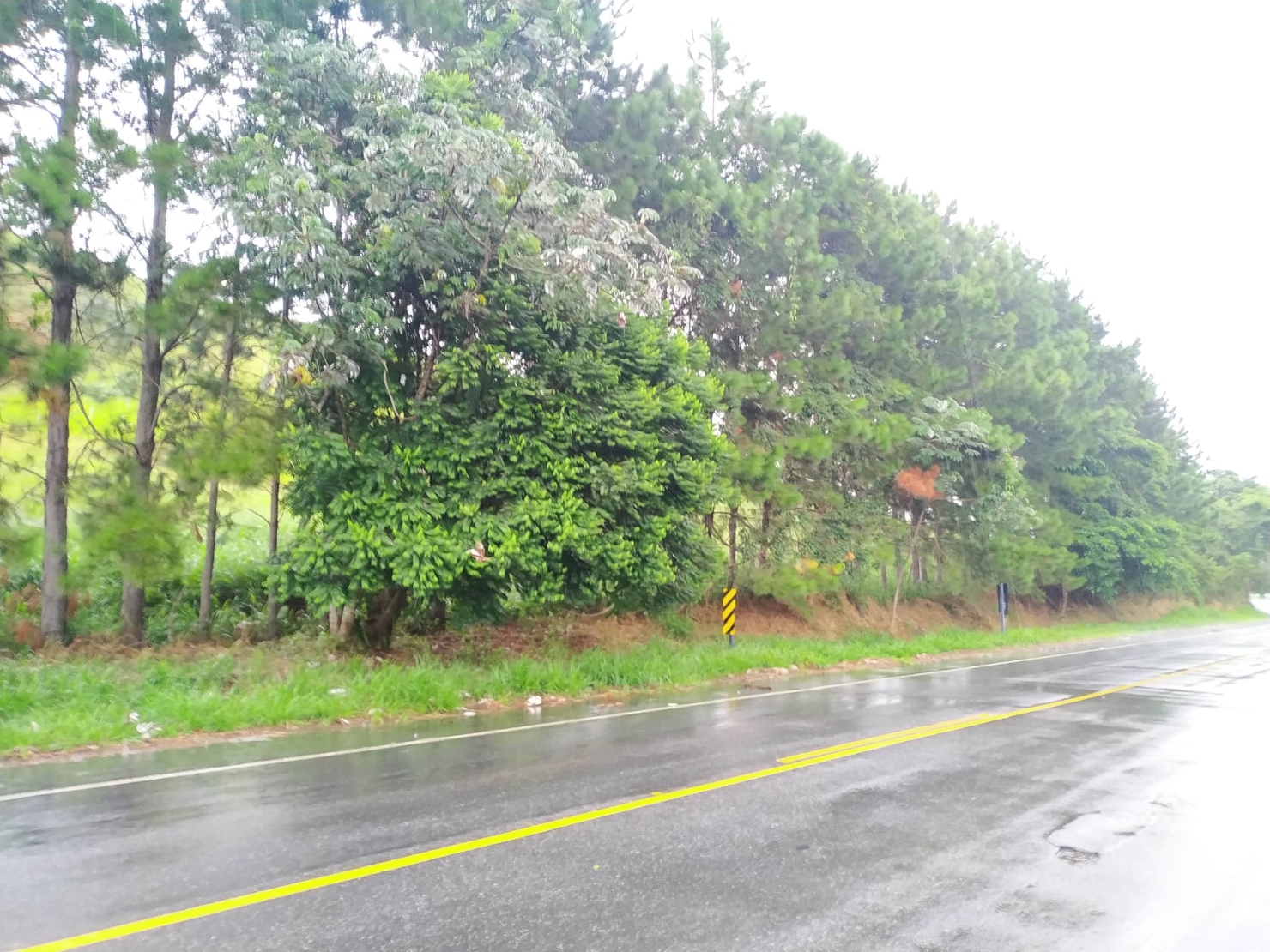 Terreno, 3 hectares - Foto 1