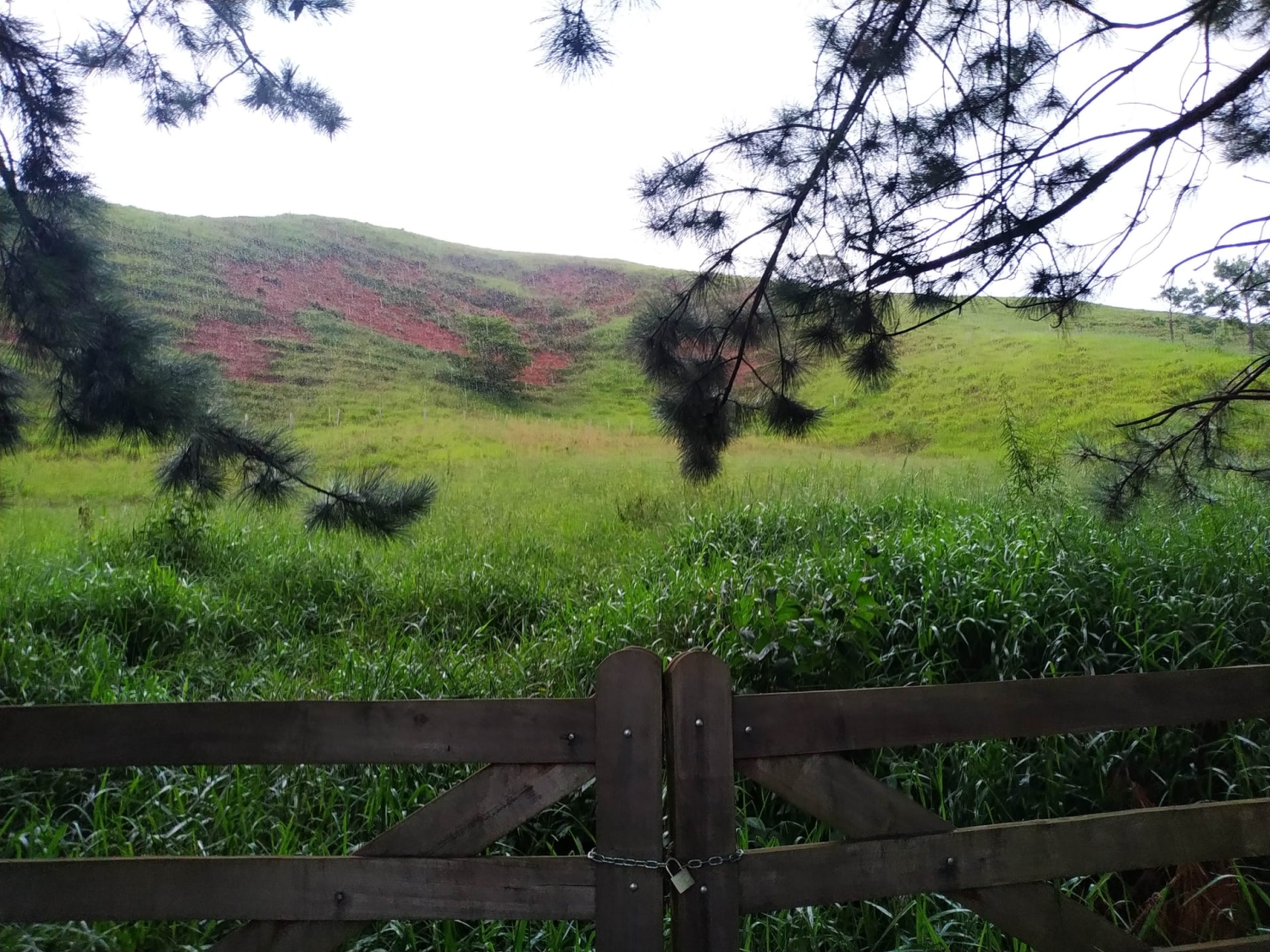 Terreno, 3 hectares - Foto 5