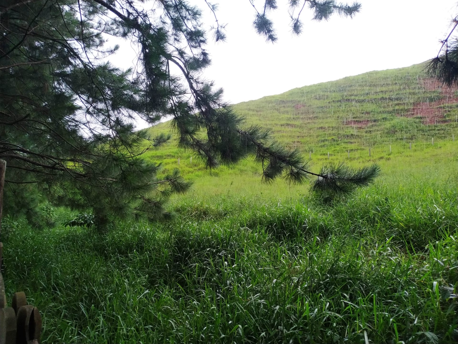 Terreno, 3 hectares - Foto 11