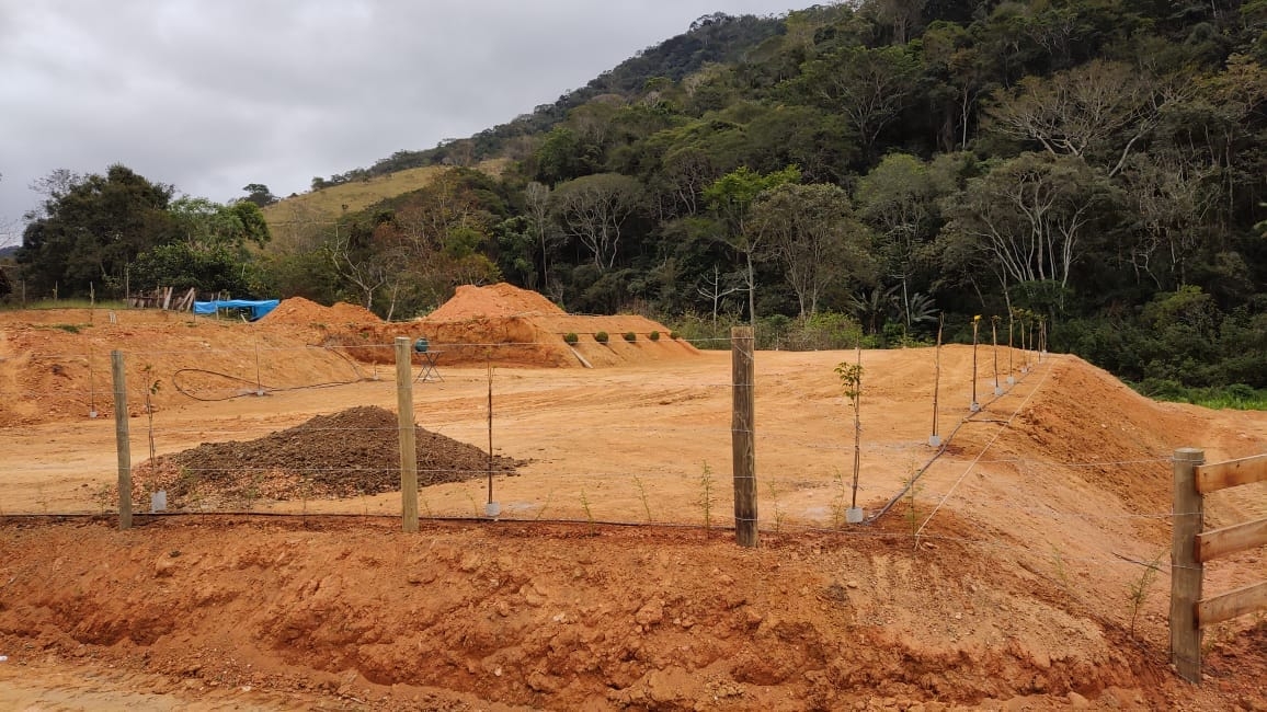 Terreno, 4 hectares - Foto 8