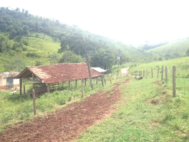 Fazenda, 487 hectares - Foto 1