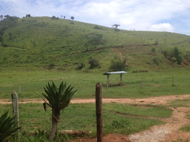 Fazenda, 487 hectares - Foto 11