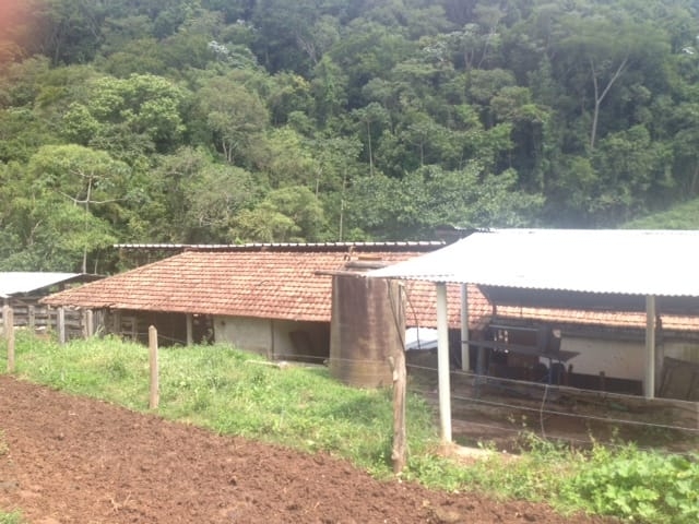 Fazenda, 487 hectares - Foto 13