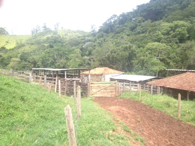 Fazenda, 487 hectares - Foto 14