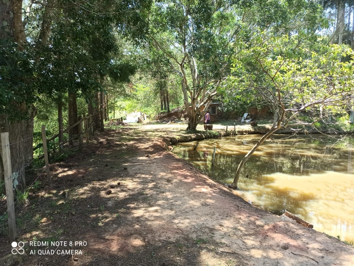 Sítio, 2 quartos, 31 hectares - Foto 1